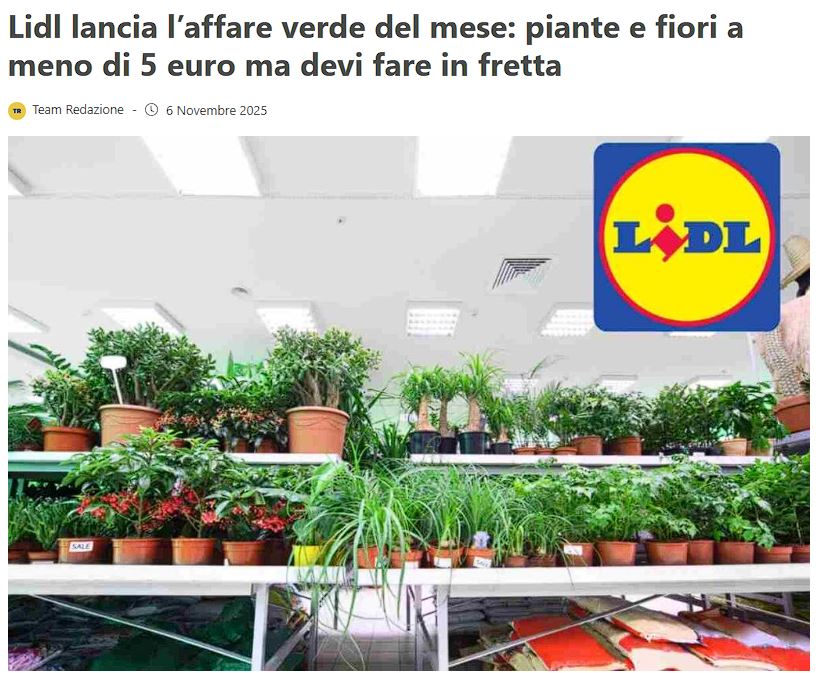 La GDO sta uccidendo il nostro settore? Come difendersi dalla svalutazione del verde