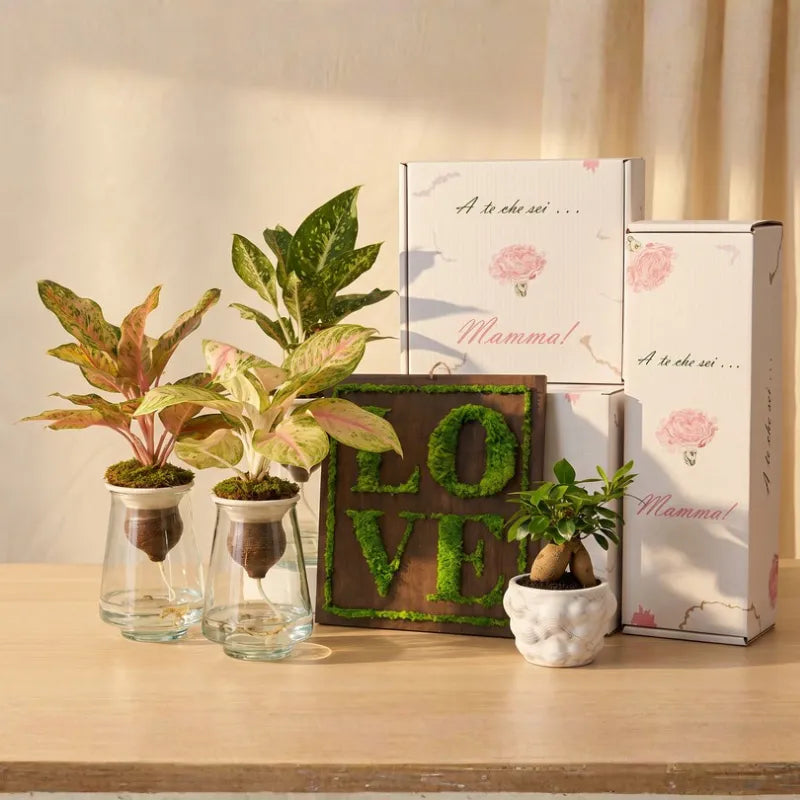 Festa della mamma