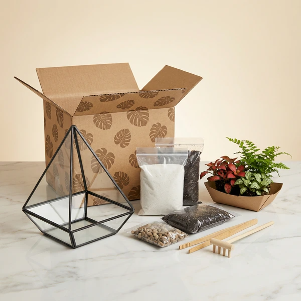 Kit completo fai da te terrarium bestseller, contenitore in vetro con piante succulente, substrato, decorazioni e attrezzi, ecosistema autosufficiente facile da creare, ideale per regalo e decorazione casa - I Giardini di Giulia