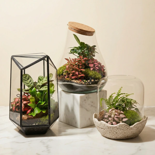 Terrarium: Mini Ecosistemi in Vetro Artigianali con Piante Vere