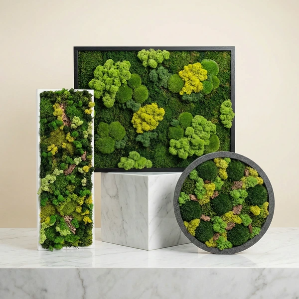 L'immagine mostra un quadro di verde stabilizzato con muschi e licheni ricreando un paesaggio naturale 