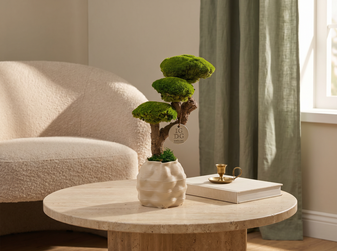 Bonsai Kumori 35 cm in muschio stabilizzato in contesto salotto domestico — decorazione da interno senza manutenzione