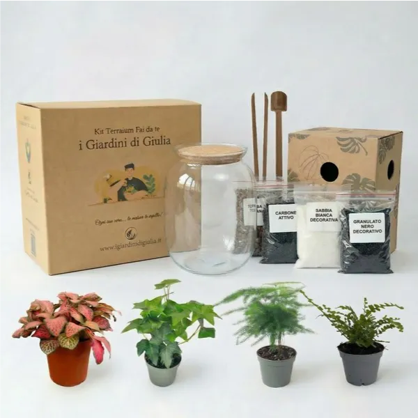Kit Terrarium Fai Da Te Completo - vaso in vetro con piante, substrati e attrezzi