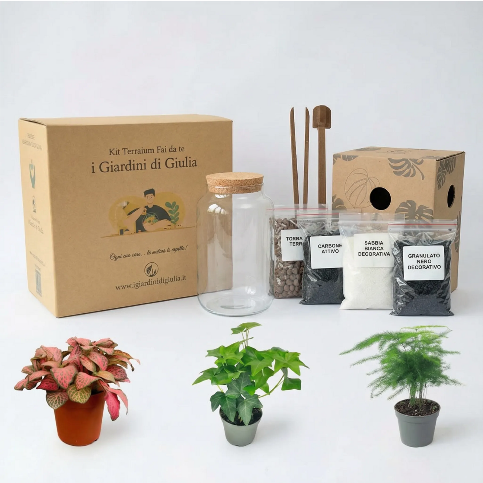 Kit Terrarium Fai Da Te Nadia - vista frontale del vaso in vetro con piante e substrati