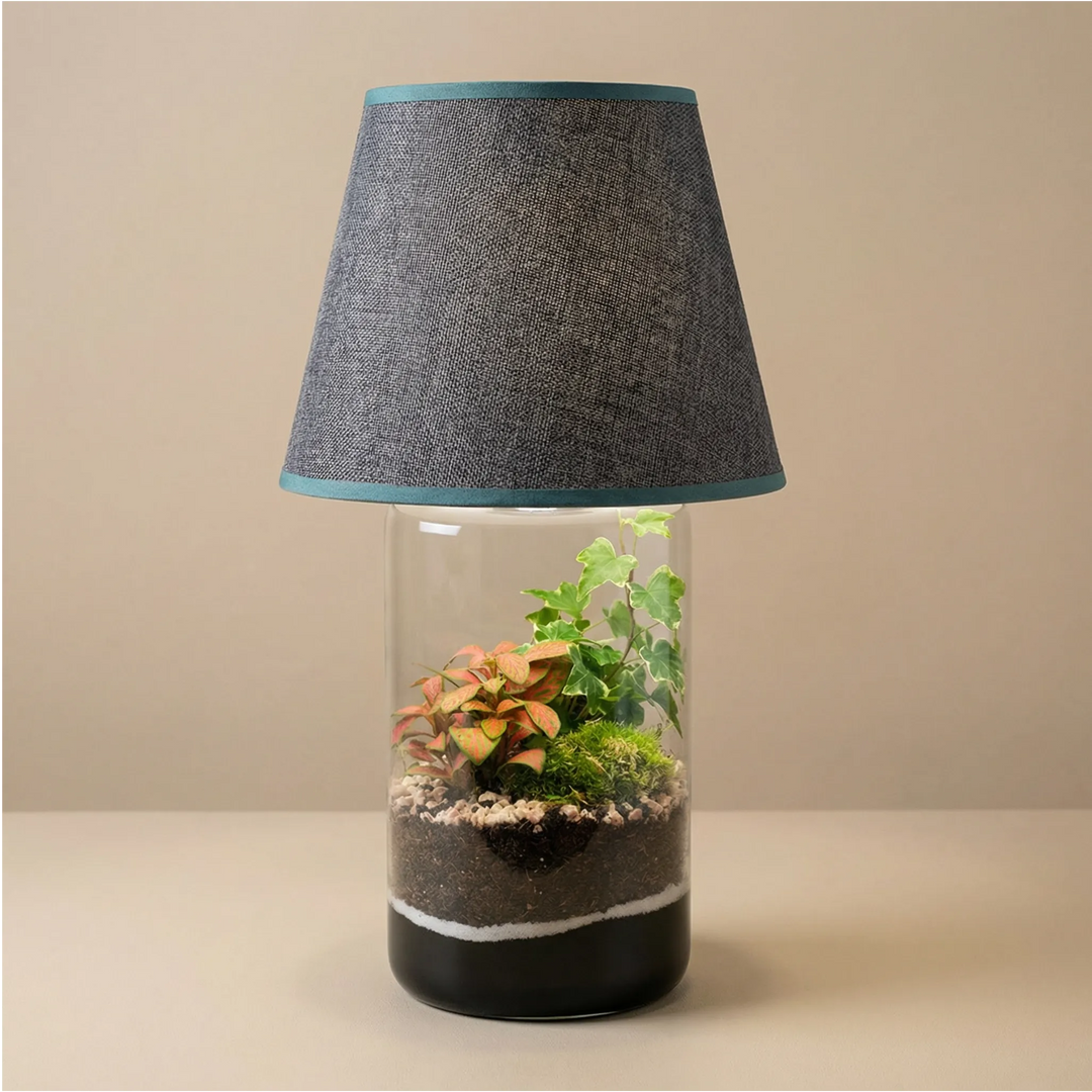 Terrarium Lamparium Aurora