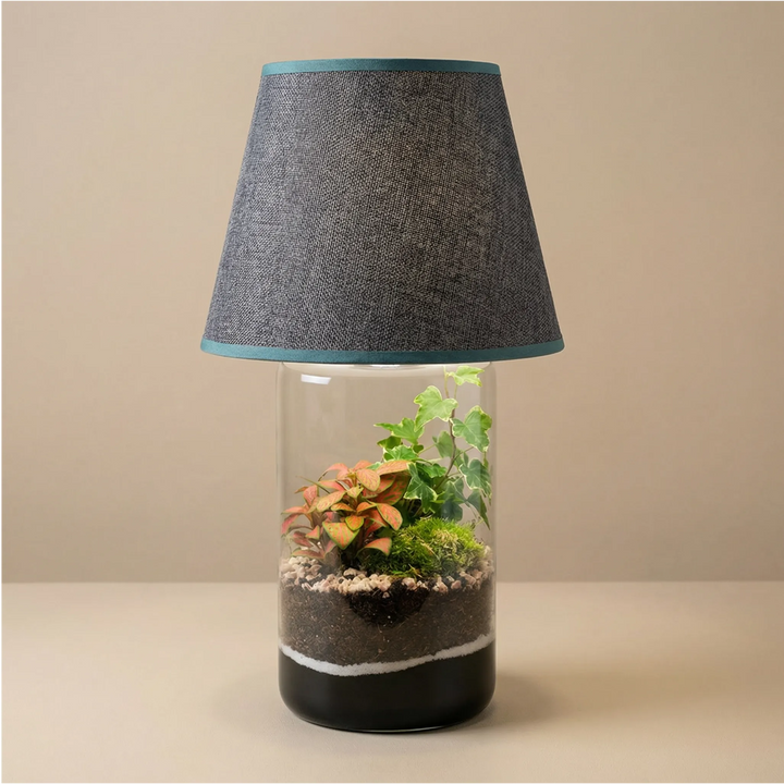 Terrarium Lamparium Aurora