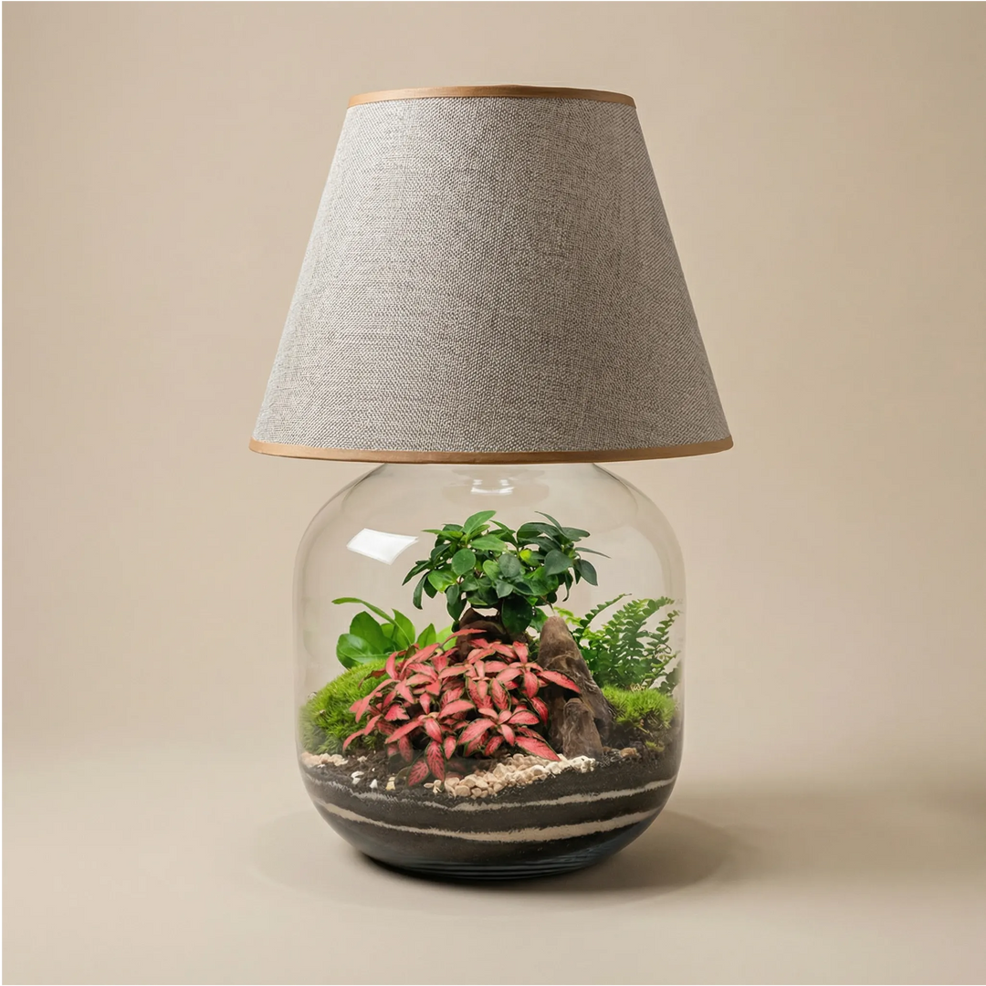 Terrarium Lamparium Martina