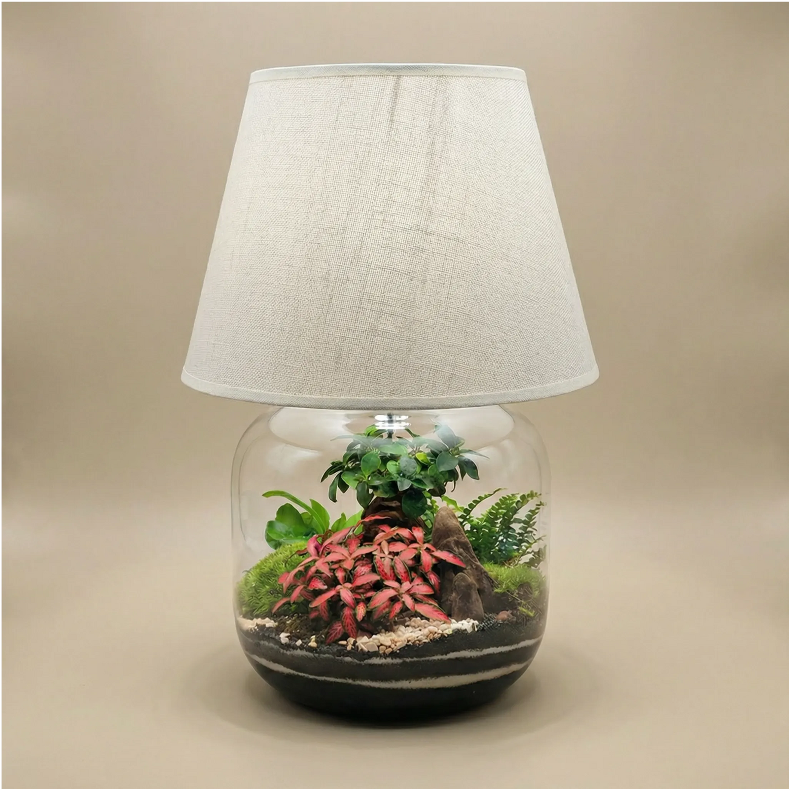 Lamparium Martina 23.5x47cm con bonsai, fittonia rosa, felce e muschio, paralume bianco