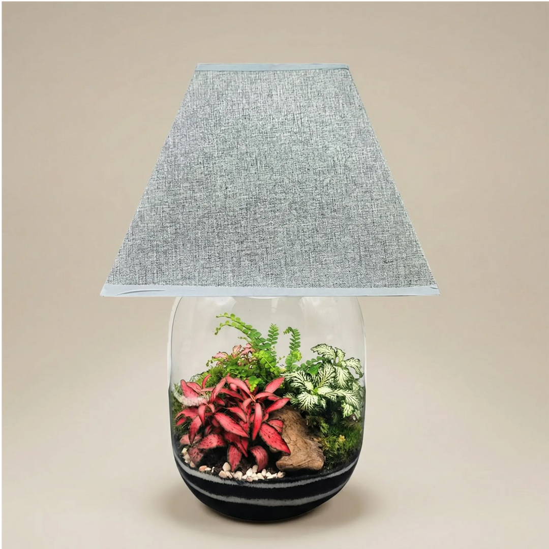 Terrarium Lamparium Oasi Lux elegant