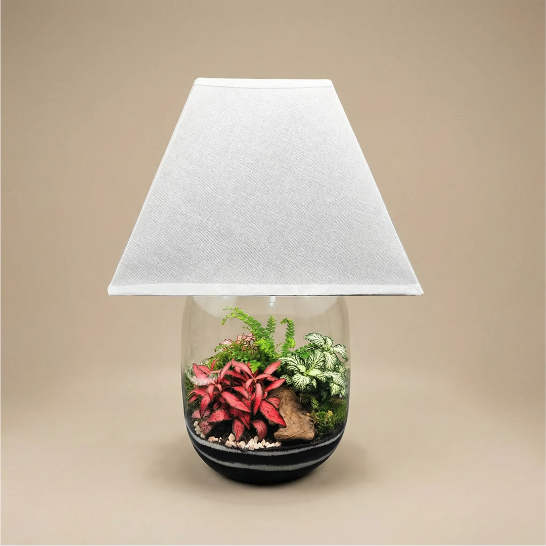 Terrarium Lamparium Oasi Lux elegant