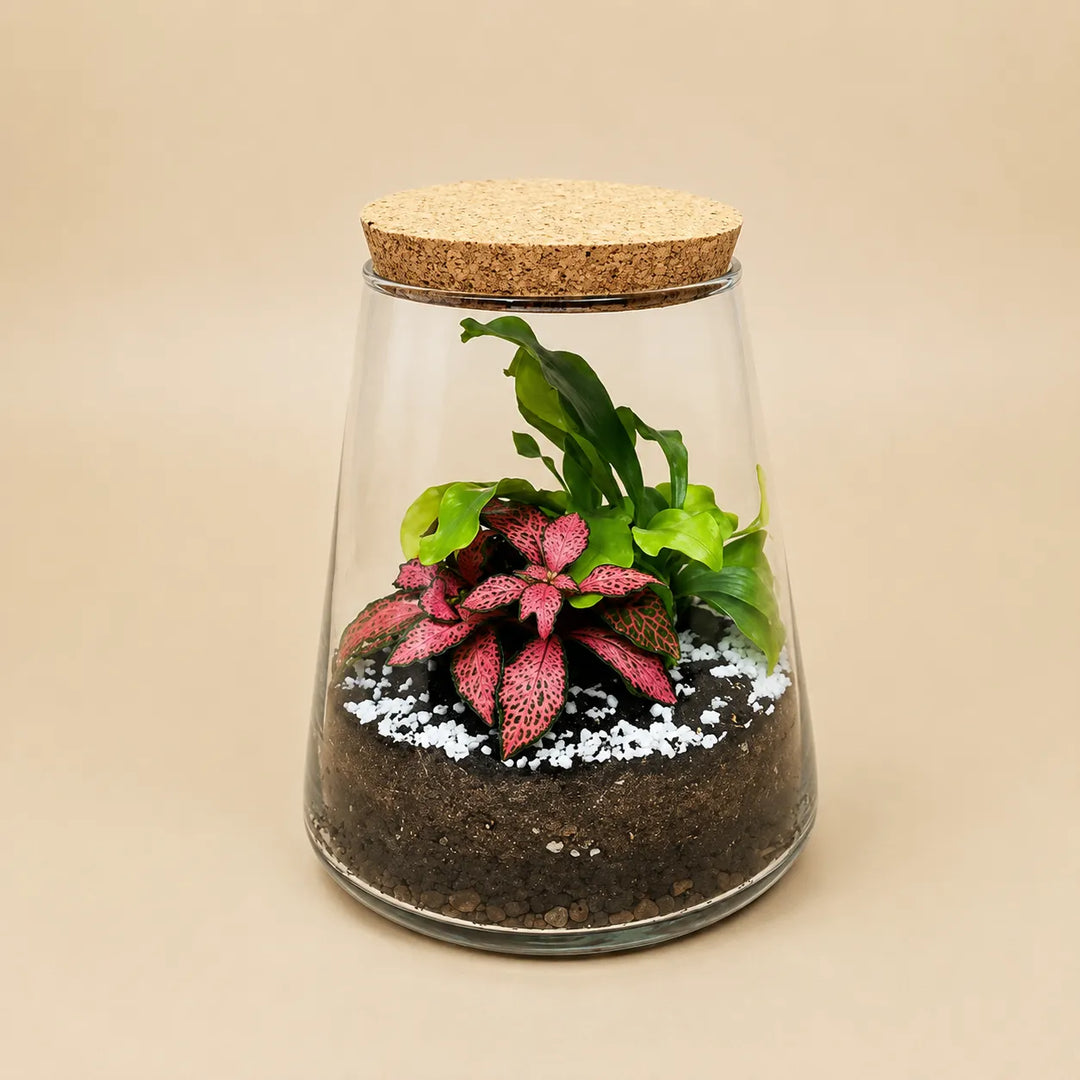 Terrarium Eco Chic 059 D.16 H.17 cm