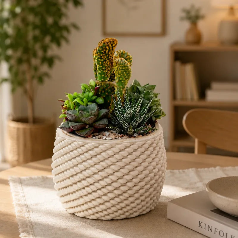 Composizione DesertiKa Carina con cactus Opuntia, Haworthia Zebra e succulente assortite in vaso artigianale color avorio, ideale per arredare soggiorni e ambienti moderni.