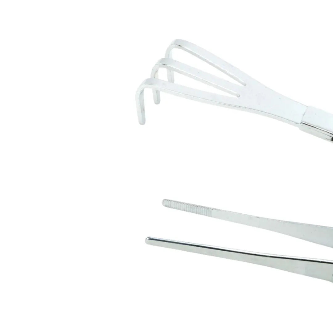 Dettaglio ravvicinato del rastrello a tre punte in acciaio inox per bonsai

