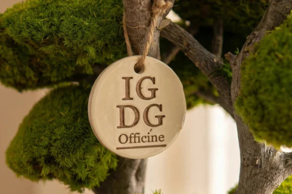 Lavorazione artigianale del Bonsai Kumori nel laboratorio IGDG Officine — muschio stabilizzato modellato a mano