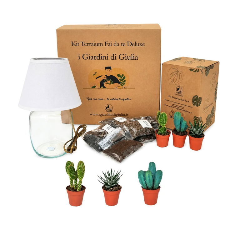Kit Terrarium Fai da Te Deluxe con lampada terrarium, materiali drenanti, substrato, tre piante grasse e confezione regalo firmata I Giardini di Giulia.