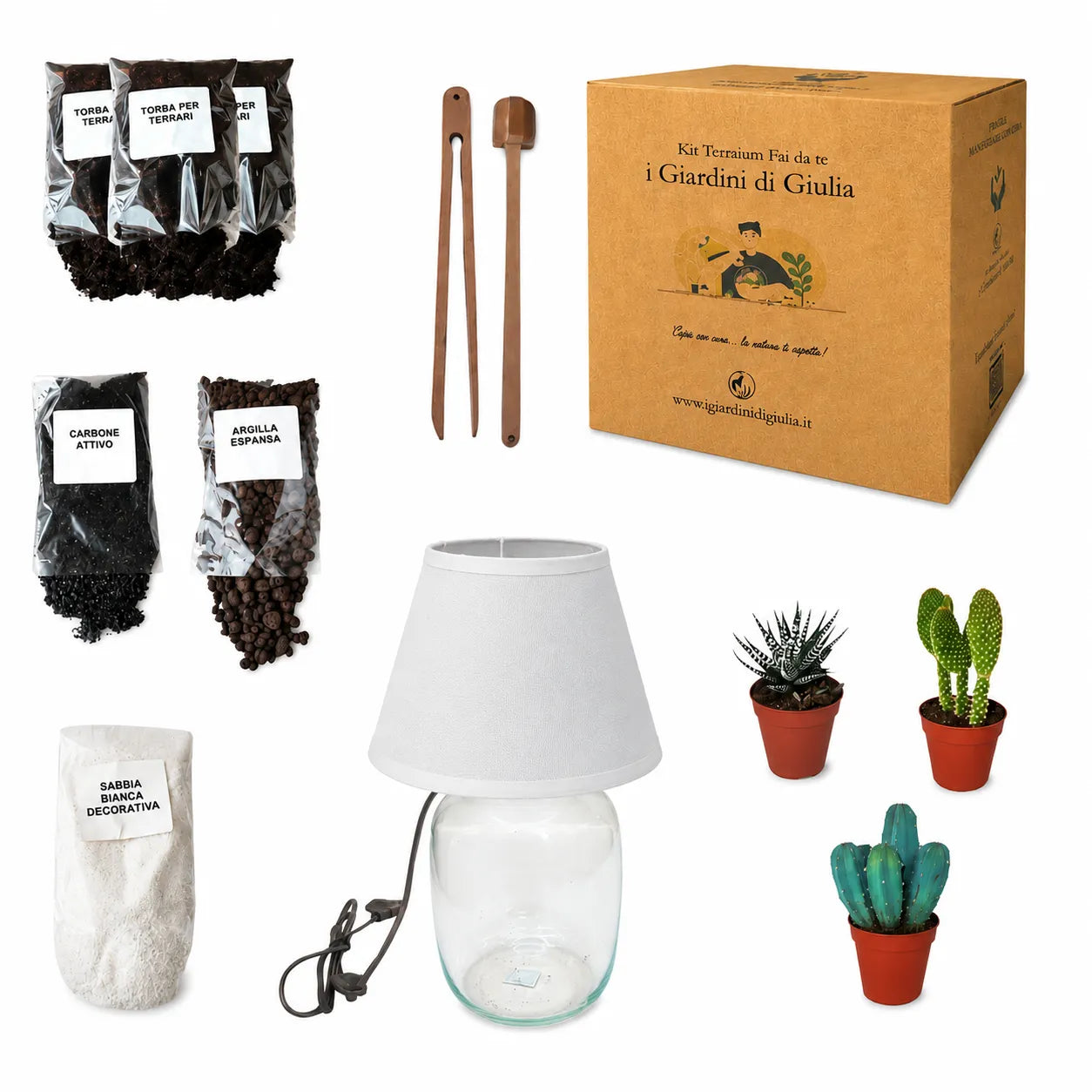 Kit Terrarium Lamparium Medio con lampada in vetro, piante grasse, terriccio per terrarium, carbone attivo, argilla espansa, sabbia decorativa e utensili per assemblaggio.