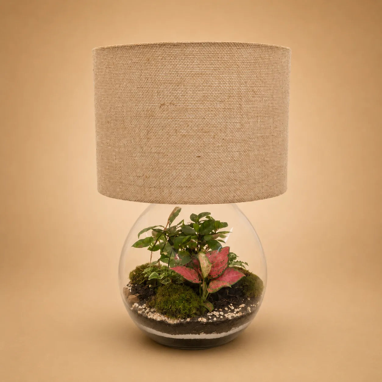 Lamparium Aida con paralume in juta naturale e terrarium in vetro con piante verdi, Fittonia rosa, muschio e substrato decorativo stratificato.
