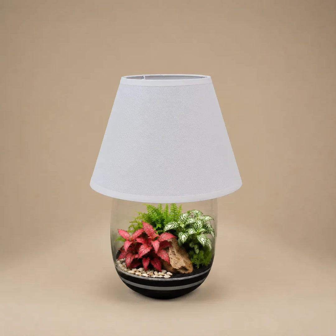 Lampada terrarium Oasi Lux Elegant con Fittonia rosa, Fittonia albivenis e muschio naturale all&