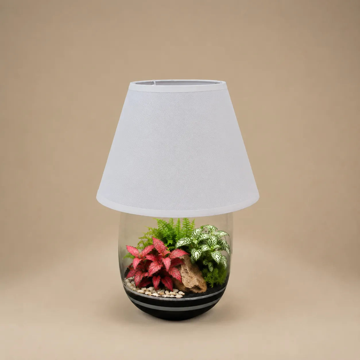 Lampada terrarium Oasi Lux Elegant con Fittonia rosa, Fittonia albivenis e muschio naturale all'interno di un vaso in vetro con paralume bianco.