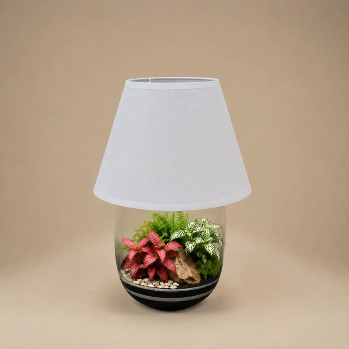 Lampada terrarium Oasi Lux Elegant con Fittonia rosa, Fittonia albivenis e muschio naturale all&