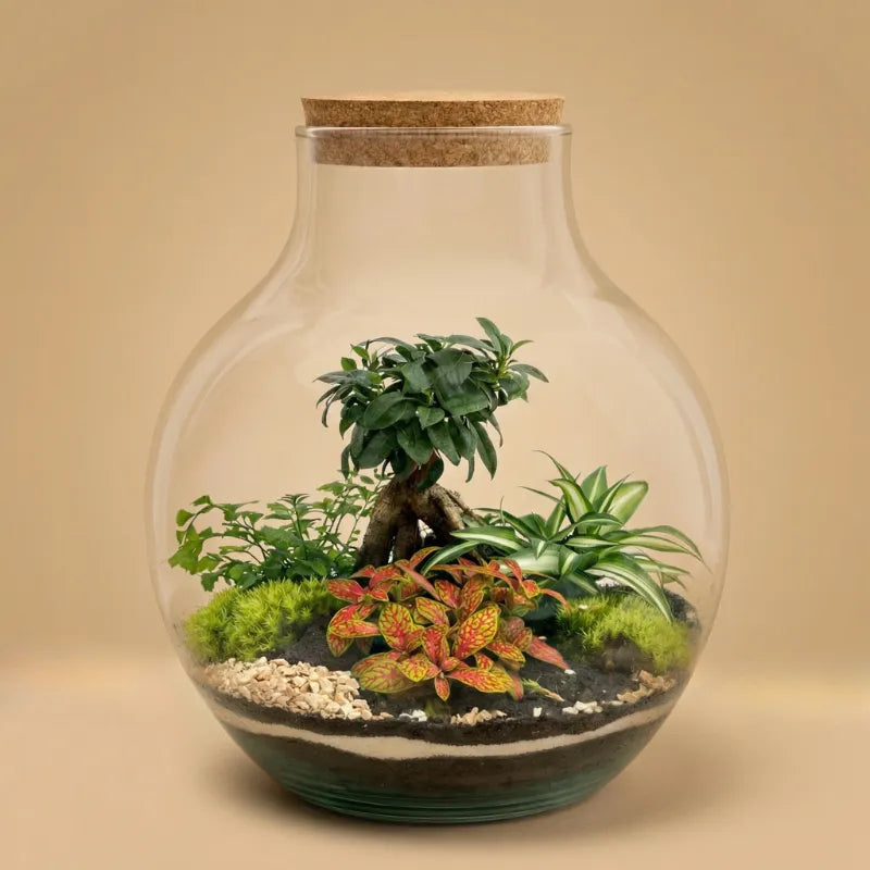 Terrarium Ariel XXL con piante verdi  D. 24 H. 34 CM