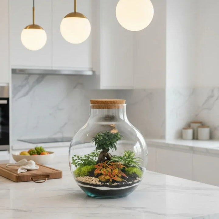 Terrarium Ariel XXL con piante verdi  D. 24 H. 34 CM