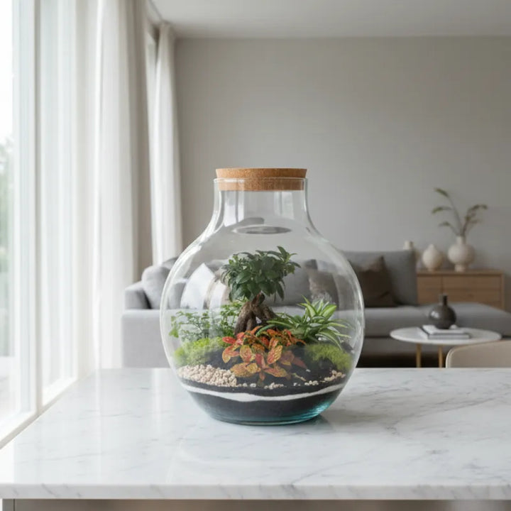 Terrarium Ariel XXL con piante verdi  D. 24 H. 34 CM