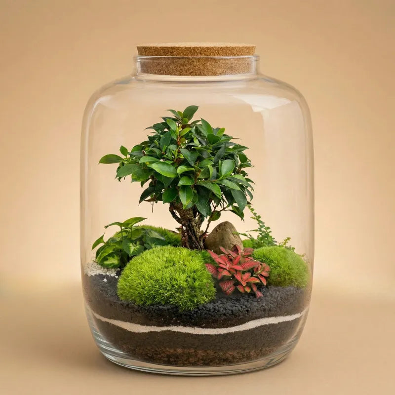 Terrarium Zeno XXL con piante verdi D. 32 H. 46 CM