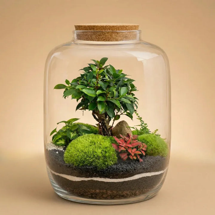 Terrarium Zeno XXL con piante verdi D. 32 H. 46 CM