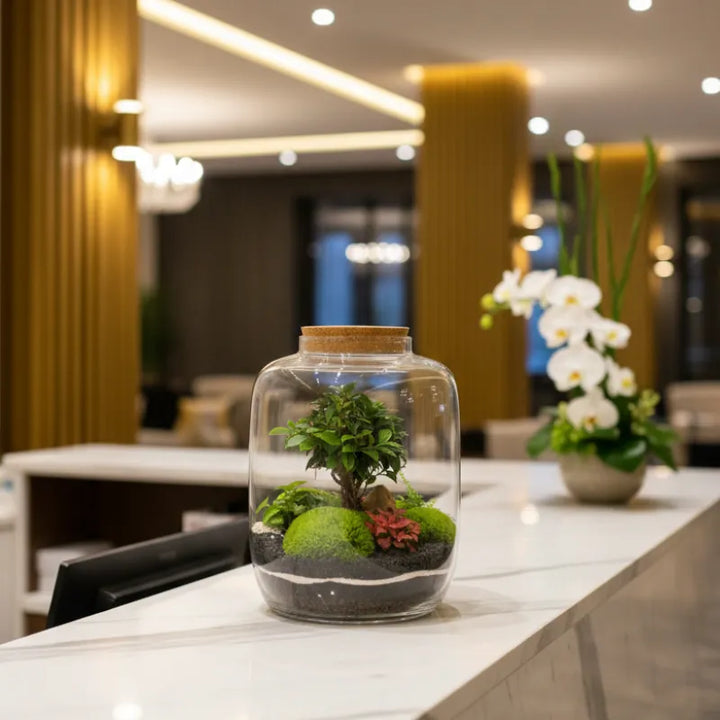 Terrarium Zeno XXL con piante verdi D. 32 H. 46 CM