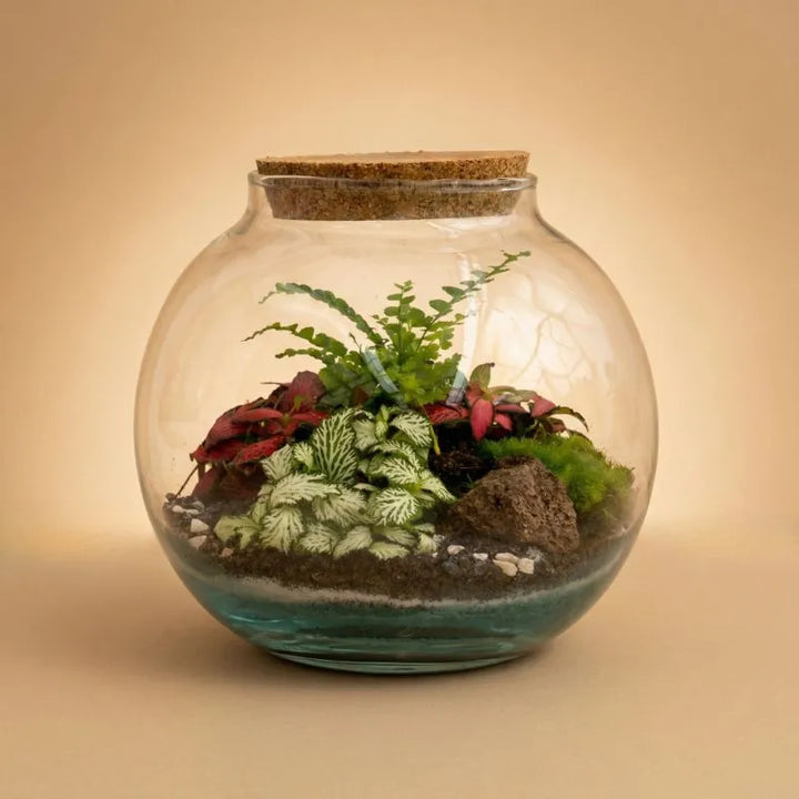 Terrarium Anime con piante verdi 085 D. 15 H. 16 CM