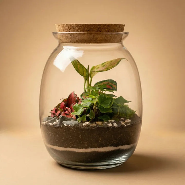 Terrarium Carlotte con piante verdi 084 D. 12 H. 19 CM