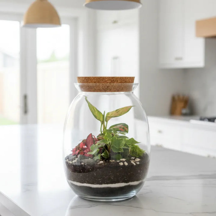Terrarium Carlotte con piante verdi 084 D. 12 H. 19 CM