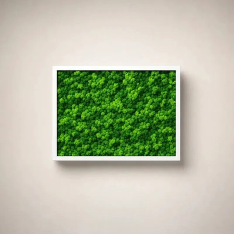 Quadri Rettangolari di Lichene 40X30 cm