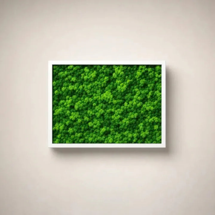 Quadri Rettangolari di Lichene 40X30 cm