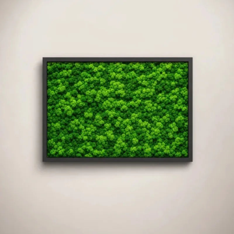 Quadro Rettangolare di Lichene 60X40 cm