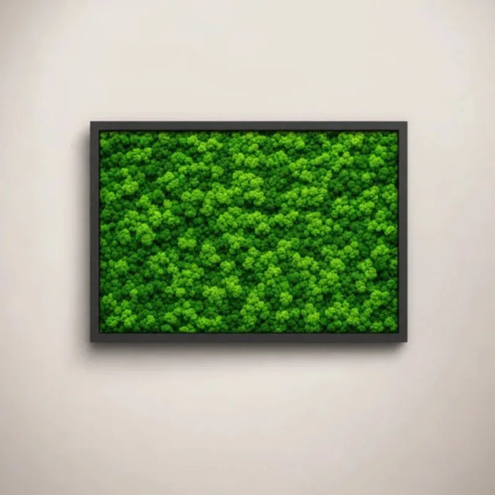 Quadro Rettangolare di Lichene 60X40 cm