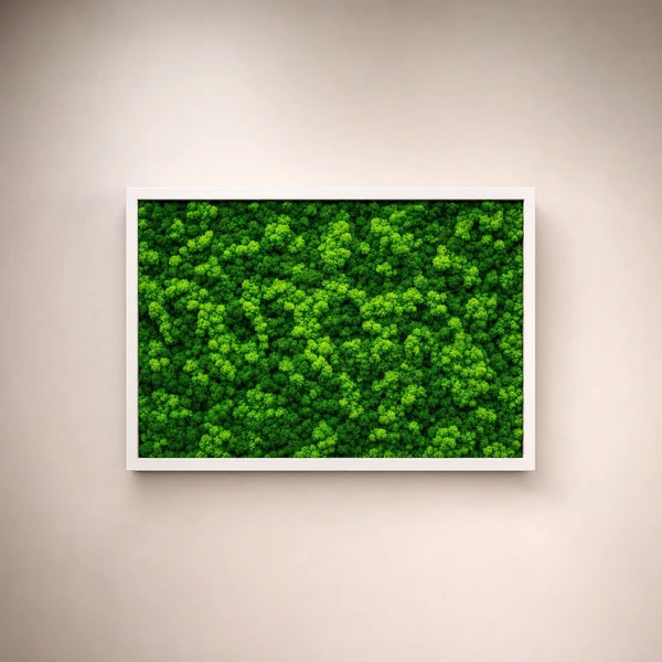 Quadro Rettangolare di Lichene 60X40 cm