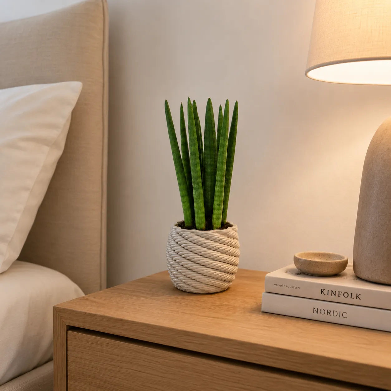Sansevieria Cylindrica con foglie verticali verde scuro in vaso di ceramica artigianale Carina, posizionata su comodino in una camera da letto moderna.