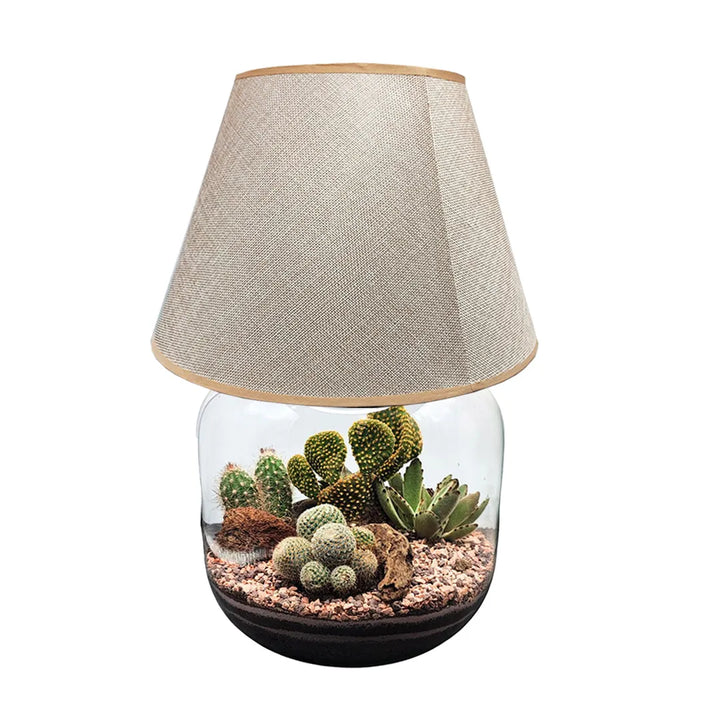 Terrarium Lamparium Martina Cactus
