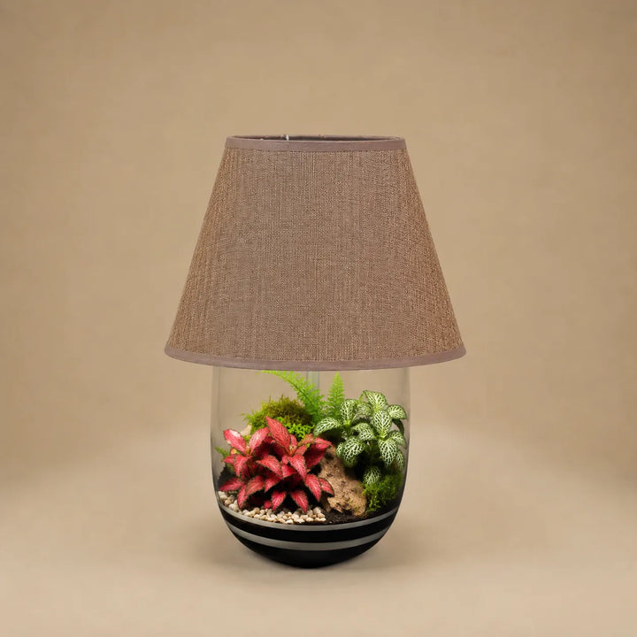 Terrarium da interno con Fittonia rosa, Fittonia bianca e felce racchiuso in una lampada decorativa con paralume tortora e design elegante.