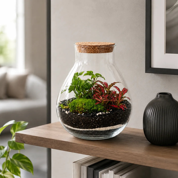 Terrarium Inside in vetro con tappo in sughero, piante tropicali verdi e Fittonia rossa, ambientato su un mobile in legno in un soggiorno moderno luminoso.