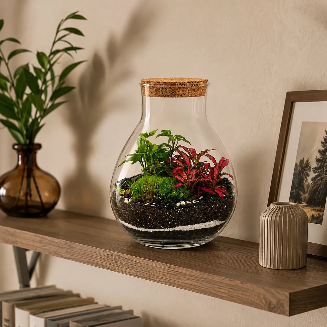Terrarium Inside con piante verdi, Fittonia rossa e muschio, posizionato su una mensola in legno in un ambiente interno moderno con elementi d&