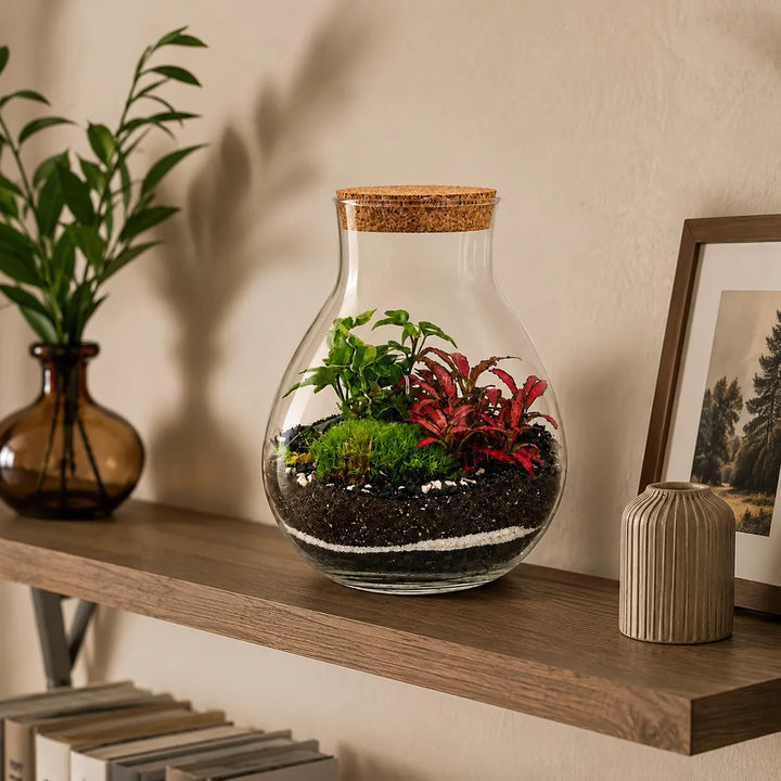 Terrarium Inside con piante verdi, Fittonia rossa e muschio, posizionato su una mensola in legno in un ambiente interno moderno con elementi d&