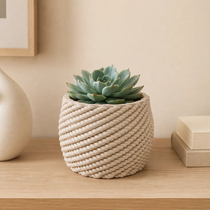 Vaso di ceramica artigianale Carina con pianta grassa Echeveria dalle foglie verde azzurro, inserito in un ambiente dallo stile minimal e contemporaneo.