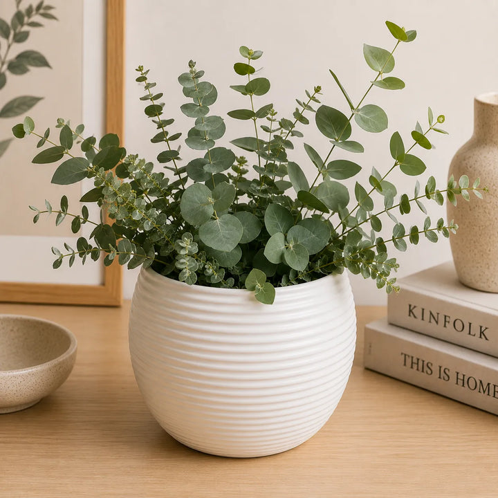 Vaso Sally bianco in ceramica con composizione di eucalipto verde, perfetto per decorare soggiorni, ingressi e ambienti luminosi in stile nordico e moderno.