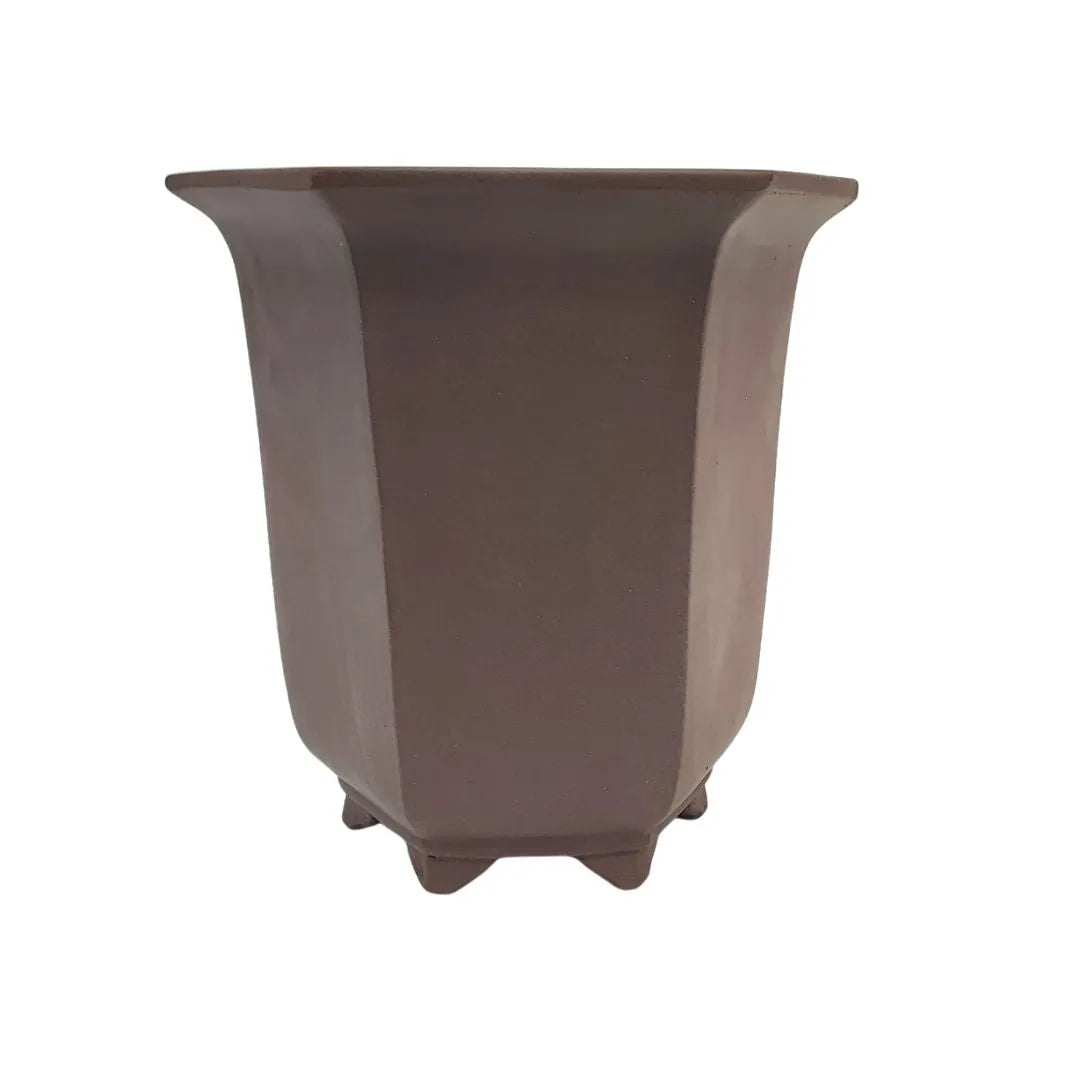 Vaso esagonale marrone per bonsai in stile Kengai - realizzato a Yixing

