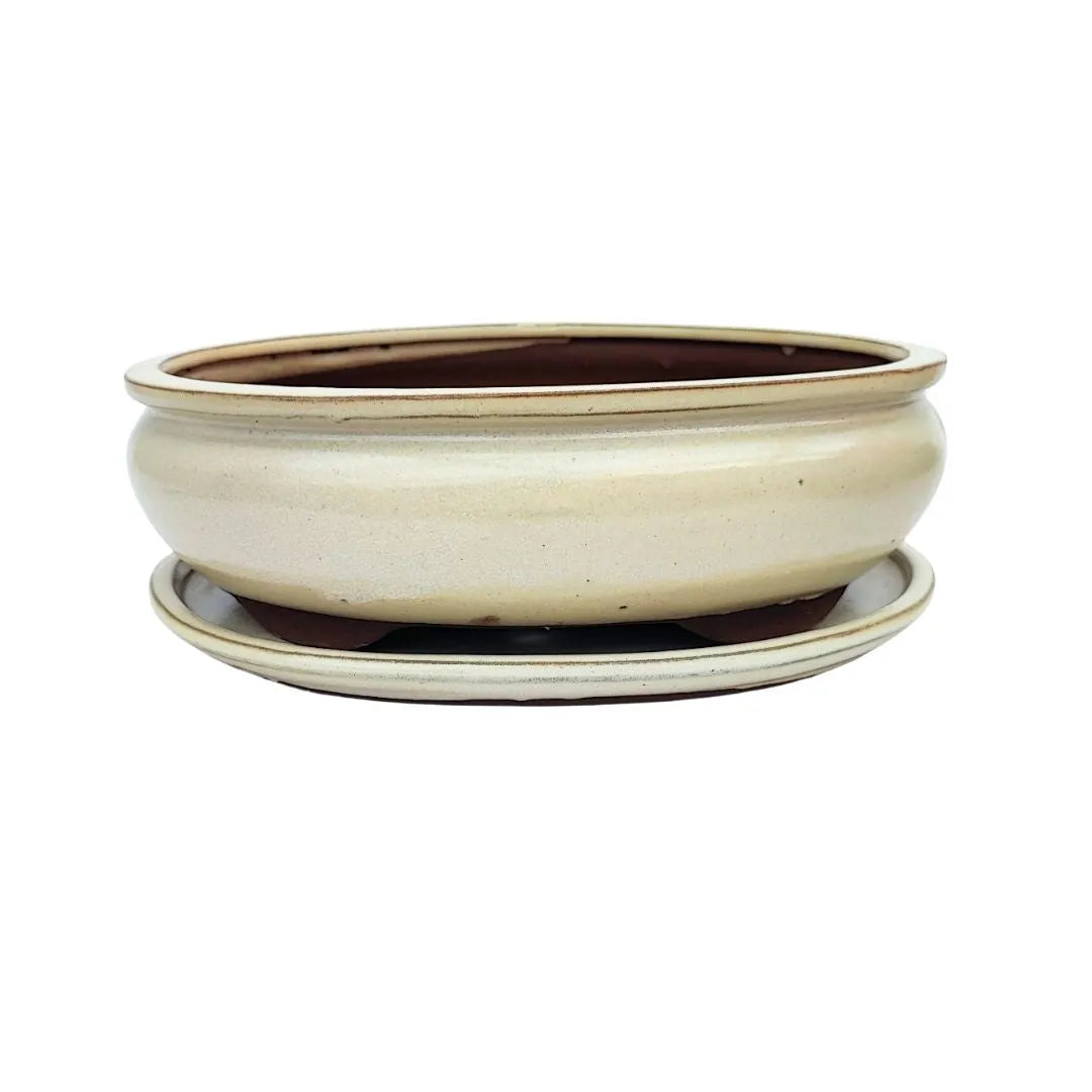  Vaso bonsai ovale in ceramica smaltata bianca con sottovaso, misura 26x20x9 cm
