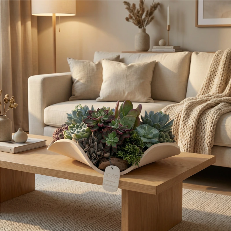 Composizione di piante grasse succulente in vaso decorativo utilizzata come centrotavola su tavolino in soggiorno moderno.