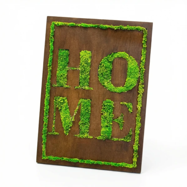 QUADRO STABILIZZATO HOME 40X30